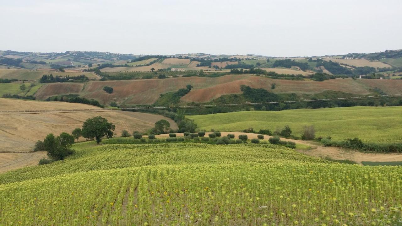 Montemaggiore al Metauro Valle Del Metauro Country House المظهر الخارجي الصورة