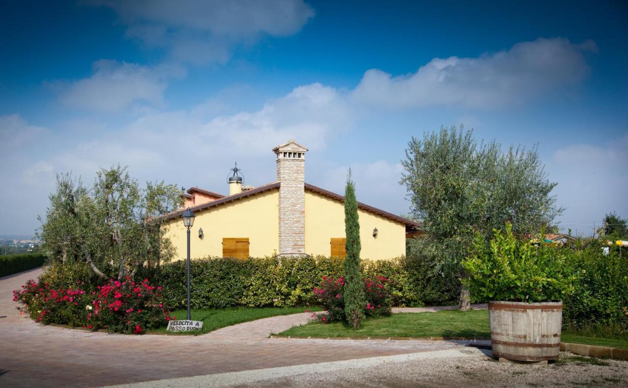 Montemaggiore al Metauro Valle Del Metauro Country House المظهر الخارجي الصورة