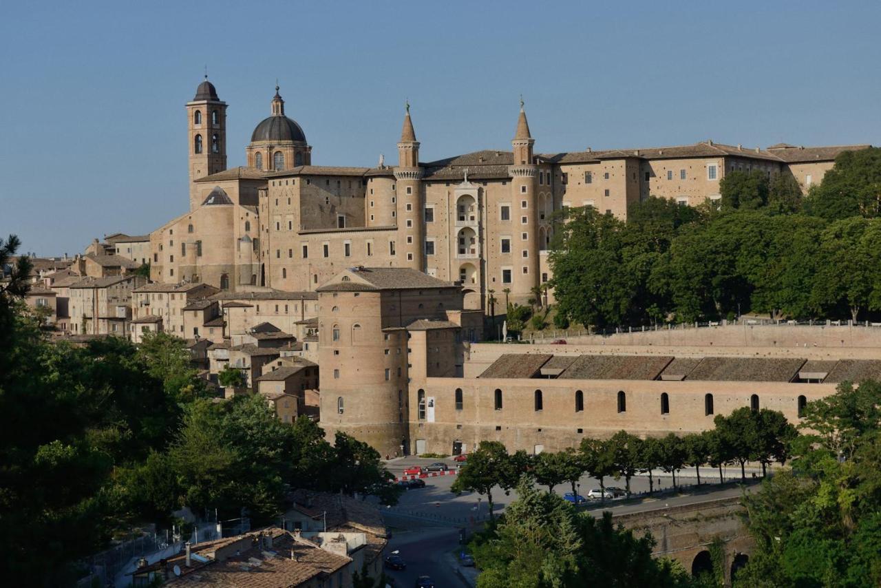 Montemaggiore al Metauro Valle Del Metauro Country House المظهر الخارجي الصورة